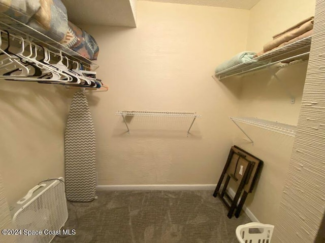 7520 Ridgewood Ave Unit 507, Cape Canaveral, FL 32920 - spacious closet featuring carpet flooring