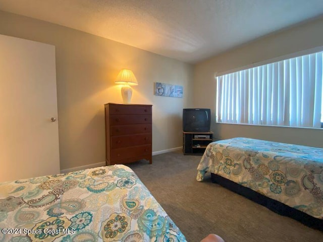 bedroom featuring carpet floors