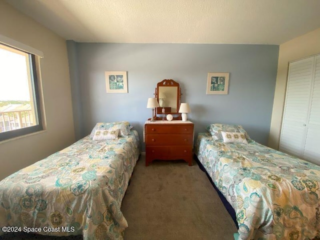 bedroom with a closet and carpet