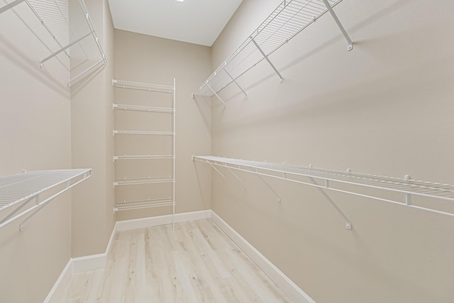 spacious closet featuring light wood-type flooring