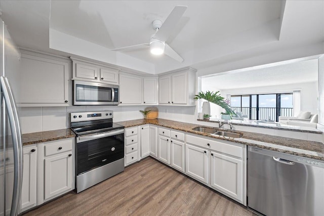 kitchen with ceiling fan, appliances with stainless steel finishes, hardwood / wood-style flooring, a raised ceiling, and sink