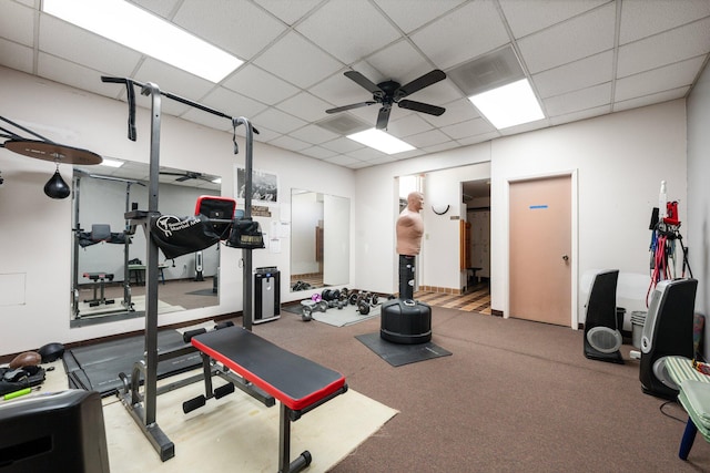 exercise area featuring carpet flooring, ceiling fan, and a drop ceiling