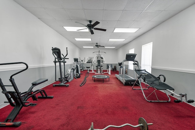 workout area with a paneled ceiling, ceiling fan, and carpet floors