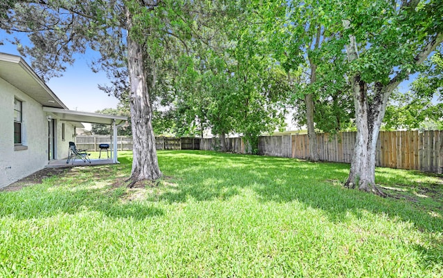 2442 Dianne Dr, Cocoa, FL 32926 - view of yard