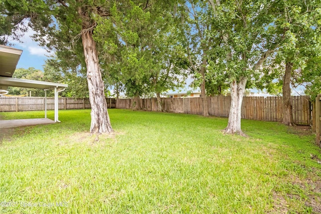 2442 Dianne Dr, Cocoa, FL 32926 - photo 30