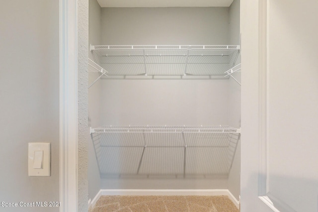 walk in closet featuring carpet floors