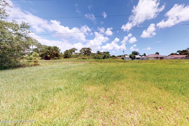 1071 Grapefruit Rd SE, Palm Bay, FL 32909 - view of yard