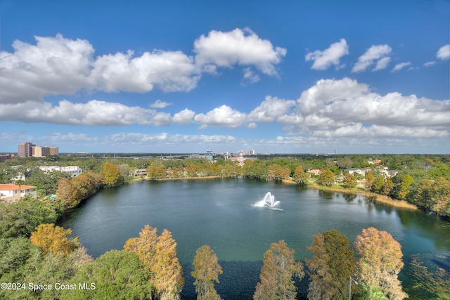 property view of water