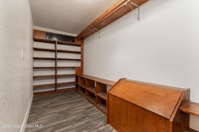 spacious closet with dark wood-type flooring