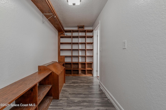 interior space with dark wood-type flooring