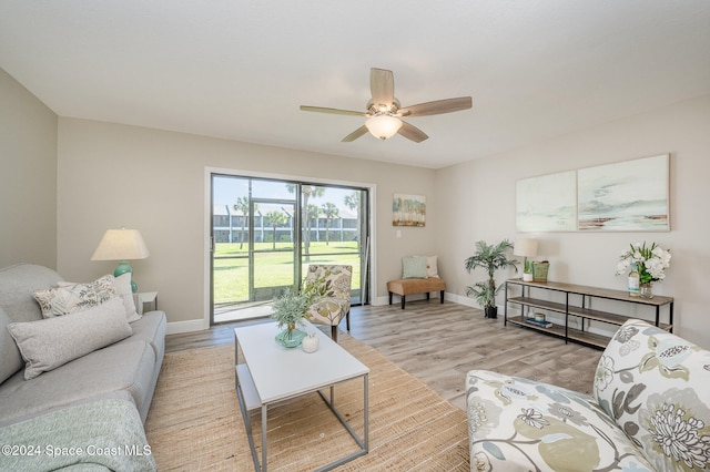 living room with ceiling fan and light wood-type flooring