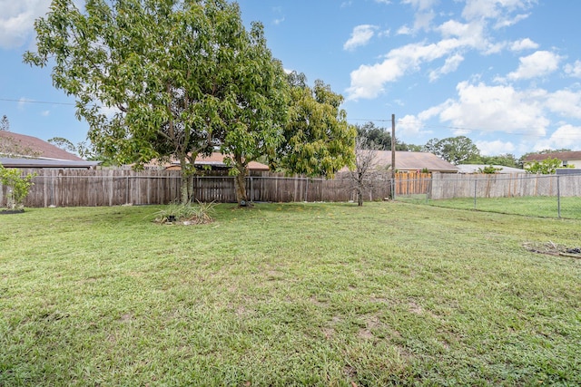 view of yard