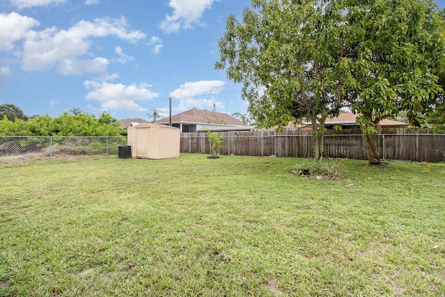 view of yard featuring a storage unit