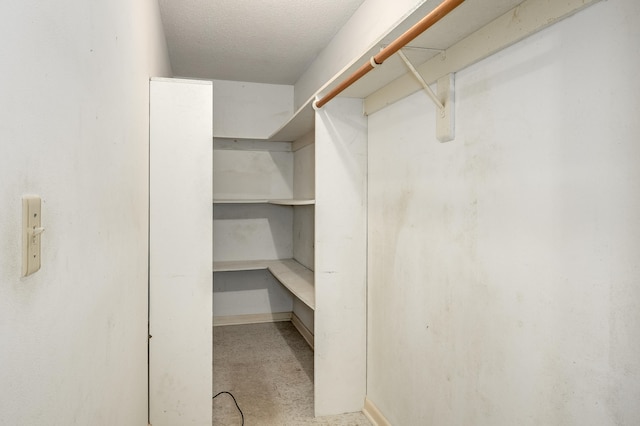 view of walk in closet