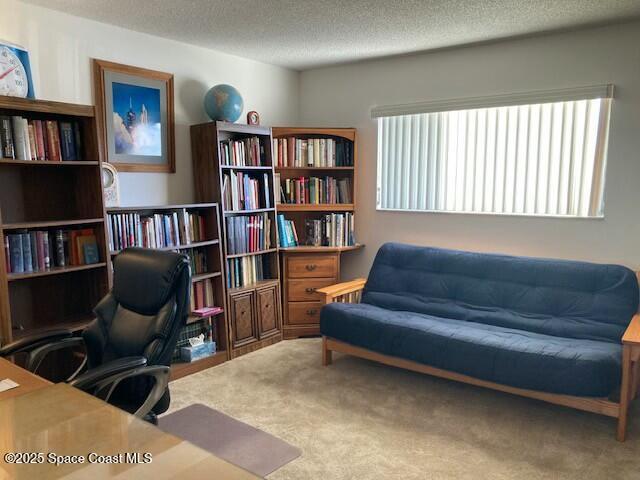 carpeted office space with a textured ceiling