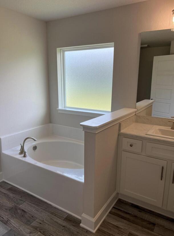 bathroom featuring a bathtub, hardwood / wood-style floors, and vanity