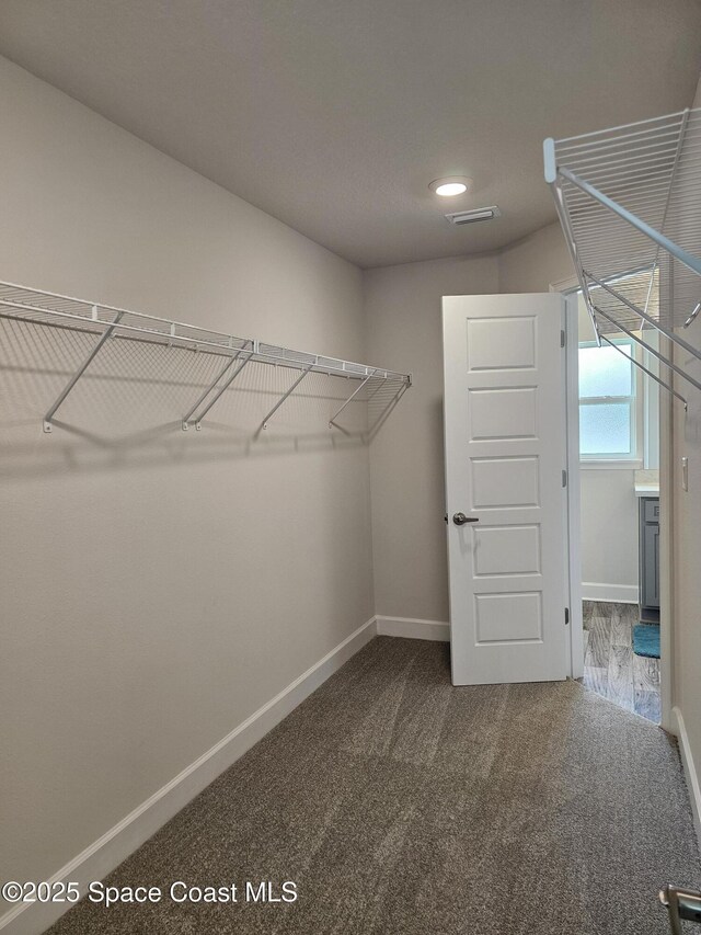 920 Lyons Cir NW, Palm Bay, FL 32907 - walk in closet featuring carpet flooring