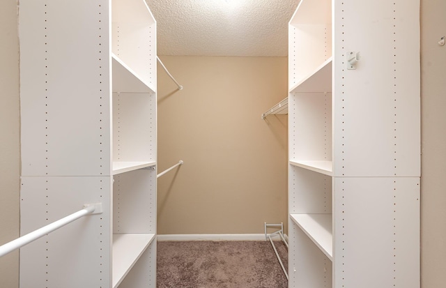 walk in closet with carpet