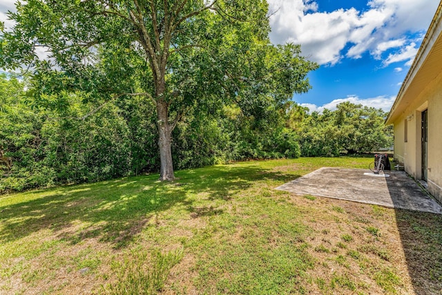 view of yard with a patio