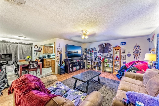 living room with light hardwood / wood-style flooring and a textured ceiling