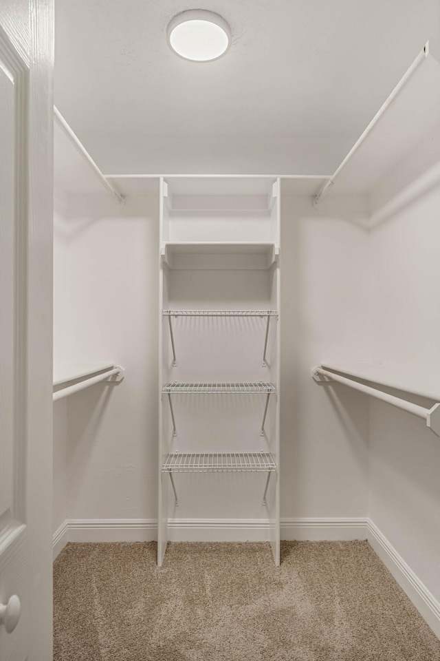 spacious closet with carpet floors