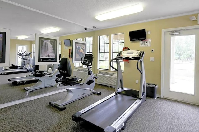 7667 N Wickham Rd Unit 1515, Melbourne, FL 32940 - workout area featuring crown molding, carpet floors, and baseboards