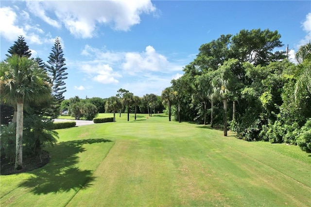 9635 Riverside Dr Unit 3, Sebastian, FL 32958 - view of yard