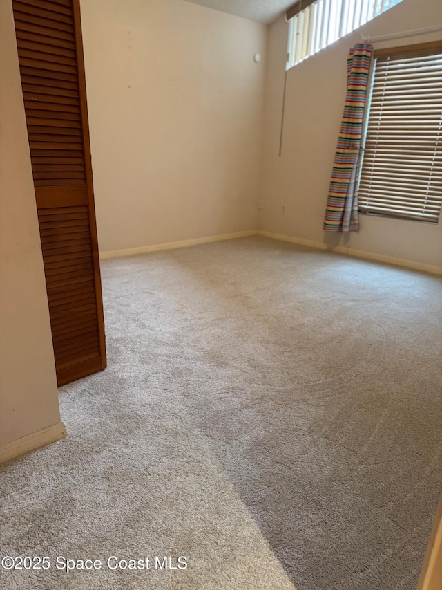 spare room with carpet