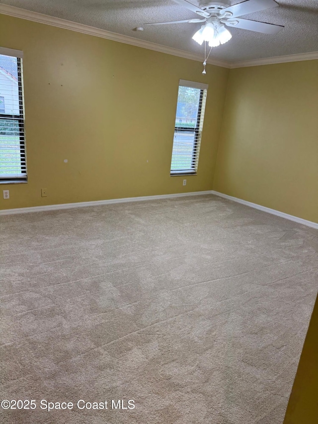 carpeted spare room featuring ceiling fan, plenty of natural light, a textured ceiling, and ornamental molding