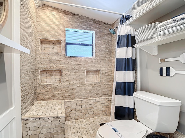 bathroom featuring lofted ceiling, toilet, and a shower with shower curtain