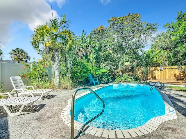 view of pool featuring a patio