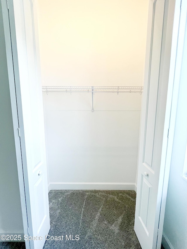 walk in closet featuring carpet floors