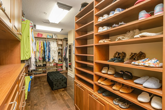 walk in closet with dark hardwood / wood-style floors