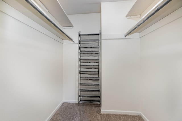 spacious closet featuring carpet floors