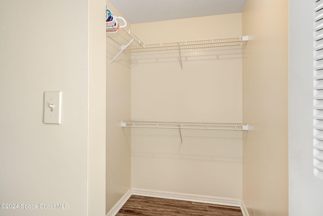 spacious closet with wood-type flooring