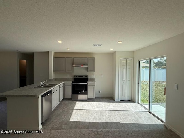 kitchen with gray cabinets, appliances with stainless steel finishes, sink, kitchen peninsula, and light hardwood / wood-style flooring