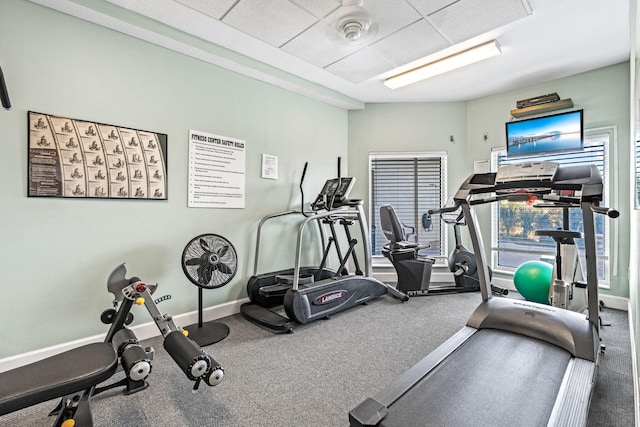 exercise room featuring carpet floors and a paneled ceiling