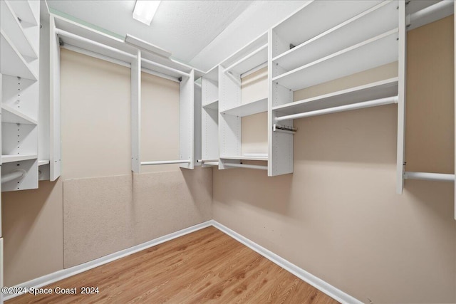 walk in closet featuring wood-type flooring