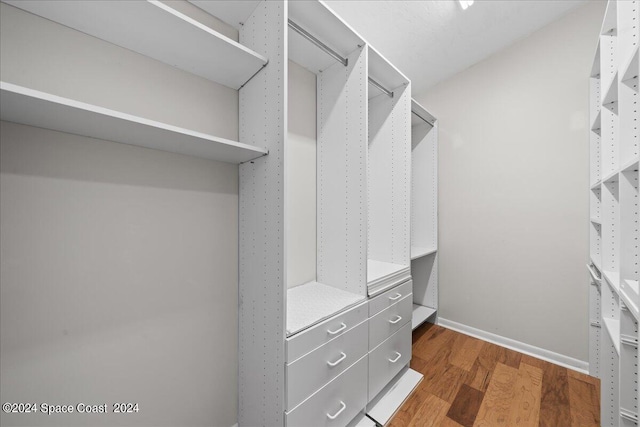 spacious closet with dark wood-type flooring