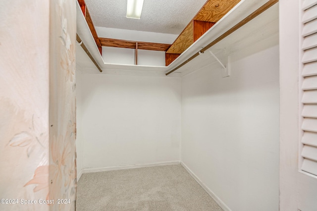 walk in closet with carpet flooring