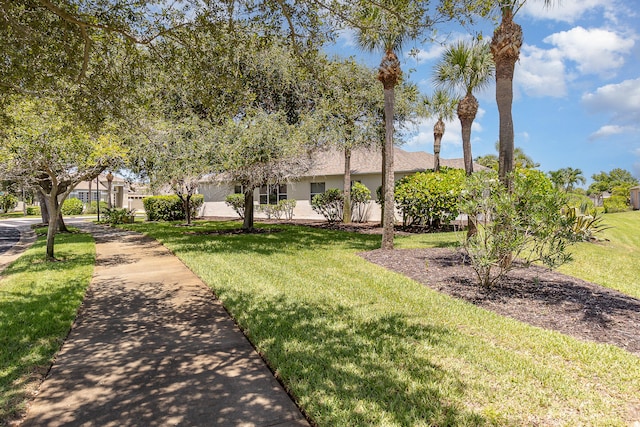 view of front facade with a front yard