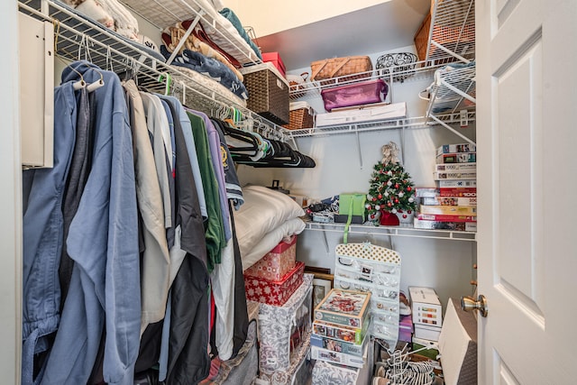 view of walk in closet