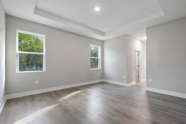 spare room featuring a raised ceiling and hardwood / wood-style flooring