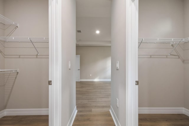 spacious closet with wood-type flooring