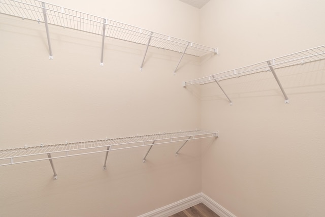 spacious closet featuring wood-type flooring