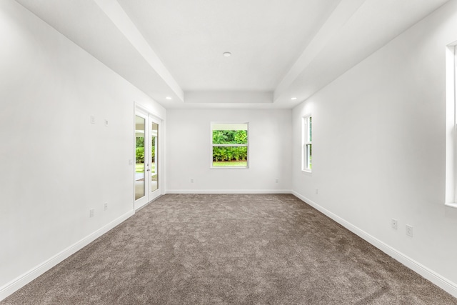 spare room with carpet and a tray ceiling