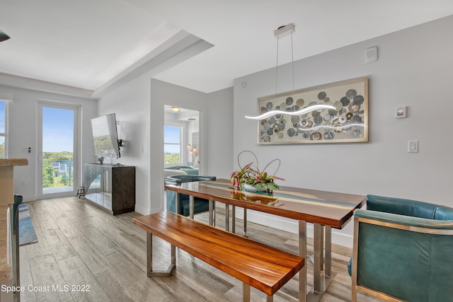 dining area featuring a wealth of natural light, wood finished floors, and baseboards