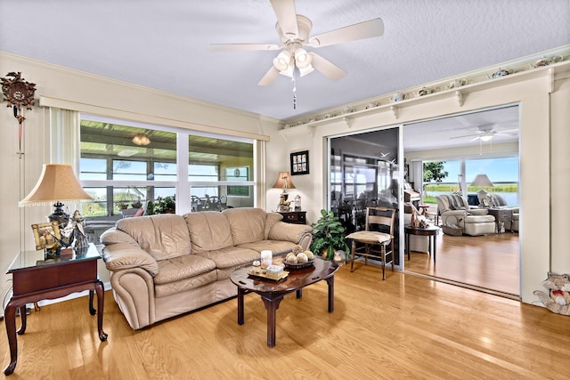 living room featuring ceiling fan, ornamental molding, a textured ceiling, and light wood-type flooring