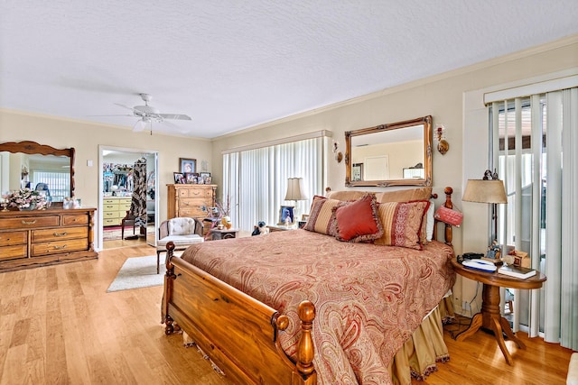 bedroom featuring multiple windows, light hardwood / wood-style flooring, ornamental molding, and a textured ceiling