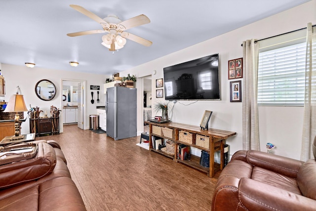 living room featuring ceiling fan and dark hardwood / wood-style flooring